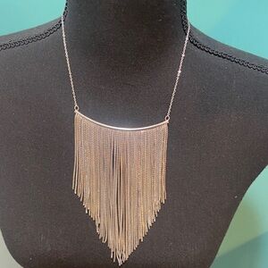 Elegant Silver Fringe Necklace